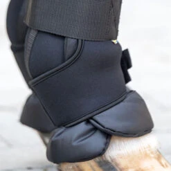 Back On Track Royal Quick Wraps DELUXE -Sports - Equestrian Sports Deluxe 1000 by 1000 af