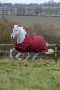 Bucas Freedom Turnout Classic Light 6 Bucas Freedom Turnout Classic Light -Sports - Equestrian Sports Freedom Turnout Cherry 6427 1 scaled 1