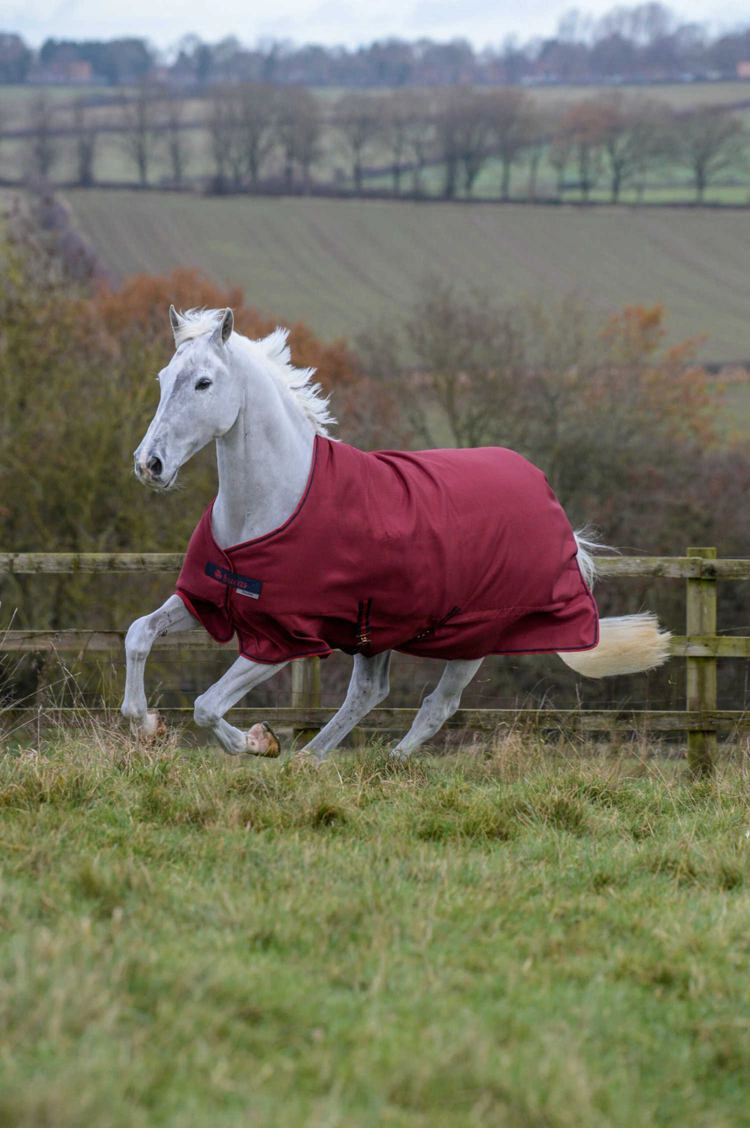 Bucas Freedom Turnout Classic Light 3 Bucas Freedom Turnout Classic Light - Image 3