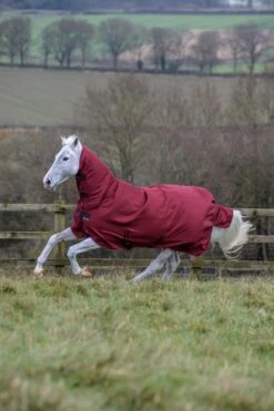 Bucas Freedom Turnout Rain Full Neck Light -Sports - Equestrian Sports Freedom Turnout Full Neck Cherry 6487 1 scaled 1