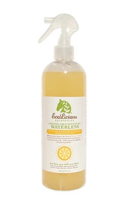 Ecolicious Green And Clean Waterless Shampoo