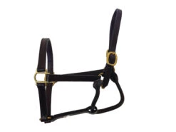 BigM 3/4" Unpadded Leather Halter