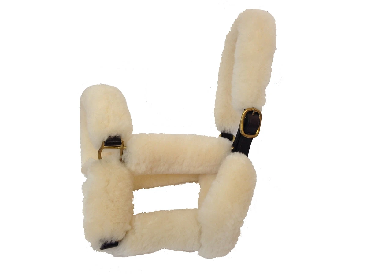 BigM Sheepskin Shipping Halter 1 BigM Sheepskin Shipping Halter