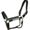 Walsh Leather Dressage Halter