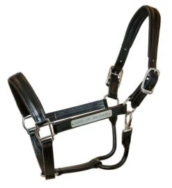 Walsh Leather Dressage Halter