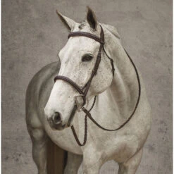 HDR Revella Pro Stress Free Bridle