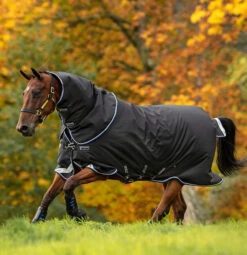 Horseware Ireland Amigo Bravo 12 Plus Medium Turnout