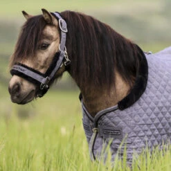 BACK ON TRACK HAZE COLLECTION SHOW RUG 13 BACK ON TRACK HAZE COLLECTION SHOW RUG -Sports - Equestrian Sports Haze 12