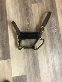 Consignment Halter W/cheek Fuzzies F