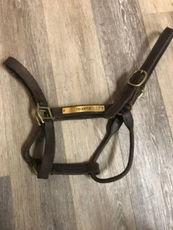 Consignment Leather Halter W/plate