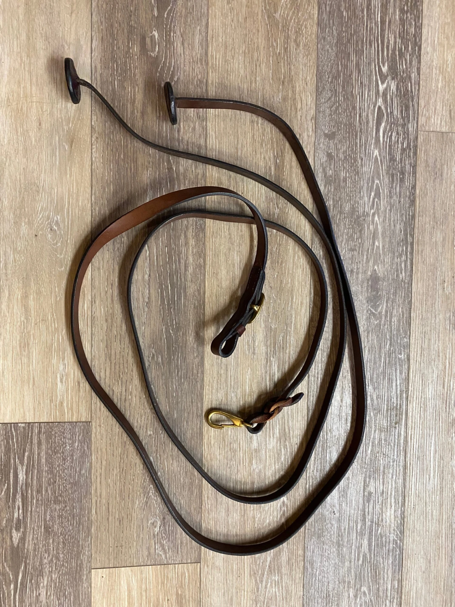 Consignment-Brown Leads With Stoppers 1 Consignment-Brown Leads With Stoppers