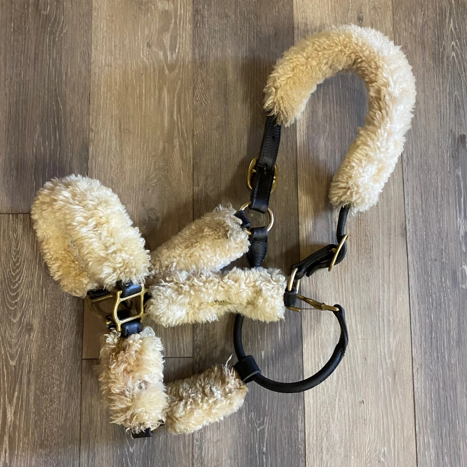 Consignment Shipping Halter W/Sheepskin FULL 1 Consignment Shipping Halter W/Sheepskin FULL