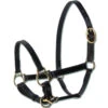 Waldhausen - Leather Foal Halter