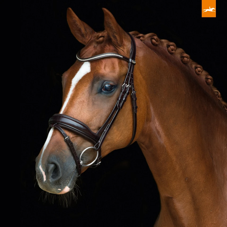 Schockemohle Concord Bridle 1 Schockemohle Concord Bridle