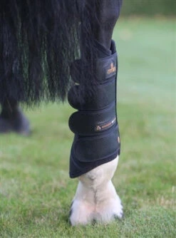 Kentucky Air Tech Eventing Boots Hind -Sports - Equestrian Sports KTATH 4