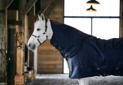 Kentucky Turnout Neck (150 Gram) -Sports - Equestrian Sports KTN150 4