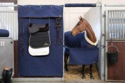 Kentucky Stable Curtain -Sports - Equestrian Sports KTSC 5