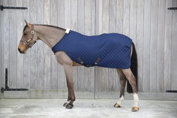 Kentucky Walker Rug 2 Kentucky Walker Rug - Image 2