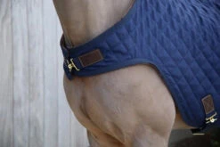 Kentucky Walker Rug 8 Kentucky Walker Rug -Sports - Equestrian Sports KWR 3