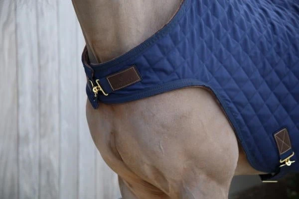 Kentucky Walker Rug 3 Kentucky Walker Rug - Image 3