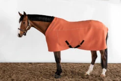 ANATOMEQ - FIT BLANKET -Sports - Equestrian Sports M4A9179 Edit 1024x1024 2x fd78977c 44ff 4eb7 9b05 ded10f15b3fb