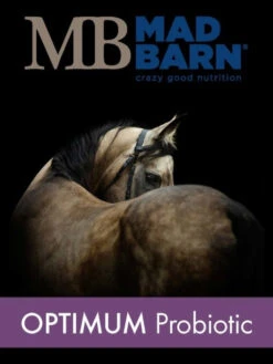 Mad Barn Optimum Probiotic