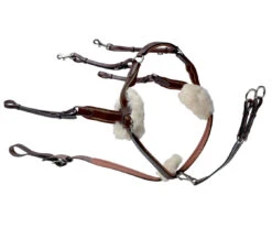 Prestige 5-Point Breastplate