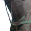 Amerigo 5-Point Breastplate
