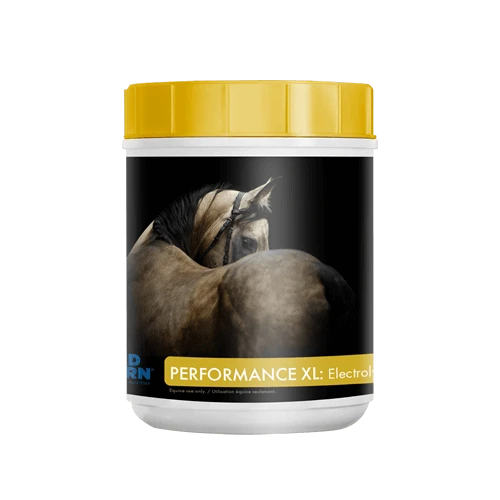 Mad Barn Performance XL Electrolytes 1 Mad Barn Performance XL Electrolytes