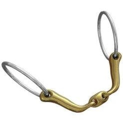 Neue Schule Verbindend Bradoon
