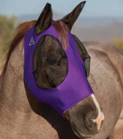 Professional's Choice Comfort Fit Lycra Fly Mask 18 Professional's Choice Comfort Fit Lycra Fly Mask -Sports - Equestrian Sports Professional sChoiceComfortFitFlyMask Purple grande b84dde4e 59d6 4be4 ba52 9f85cb10ae89