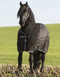 Horseware Ireland Rambo Stable Blanket Medium