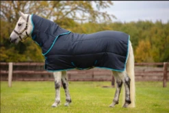 Horseware Ireland Amigo Insulator Pony Plus Medium