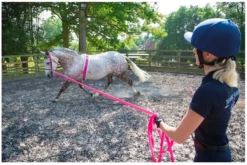 Shires Lunging Surcingle