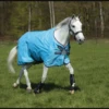 Horseware Ireland Amigo Hero 900 Turnout Lite With Net Lining And Disc-Front Closure