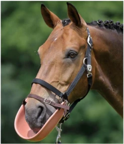 Waldhausen Clothing Bib