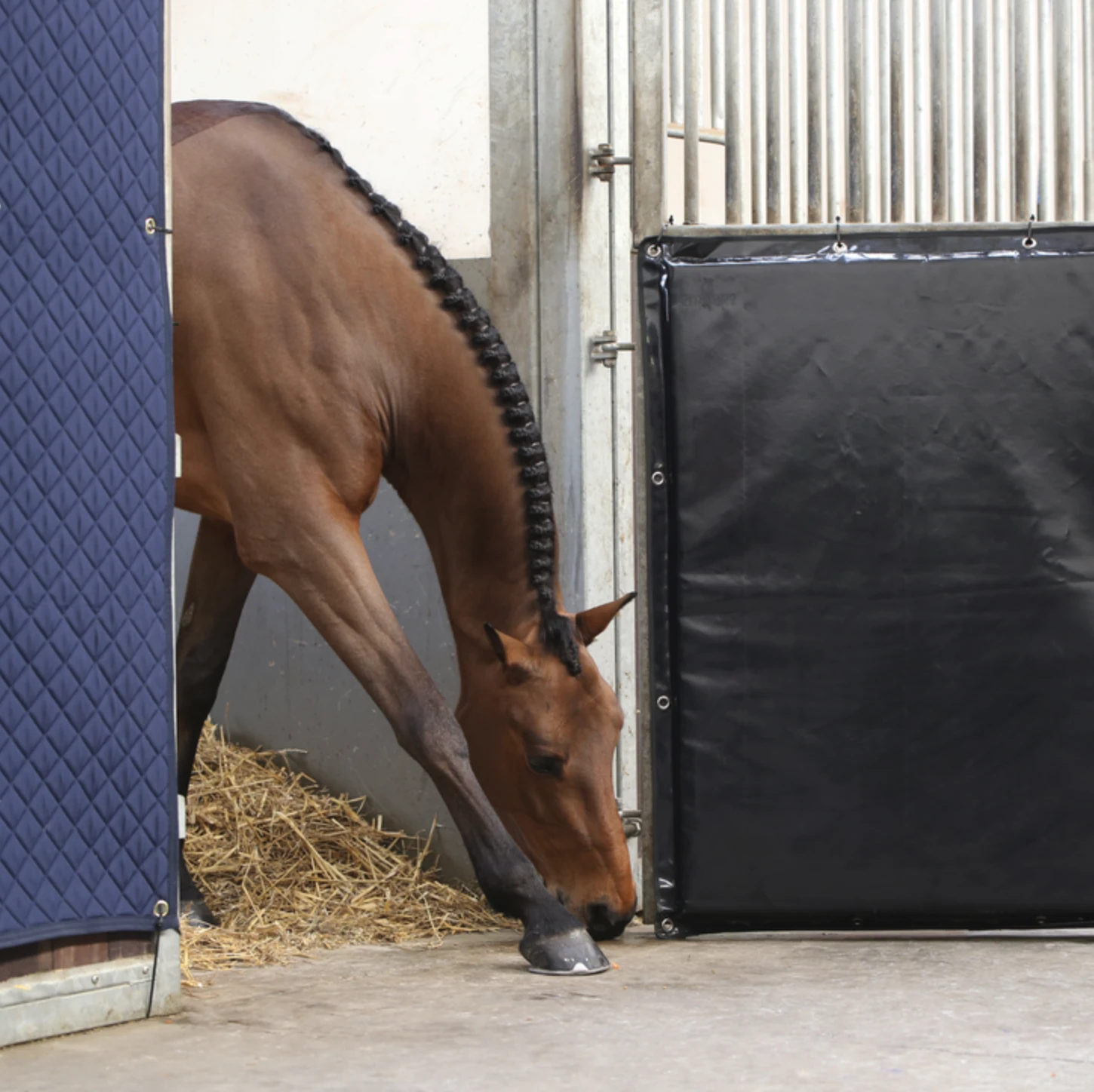 Kentucky Kick Pad 2 Kentucky Kick Pad - Image 2