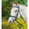 Shires Avignon Louisville Bridle
