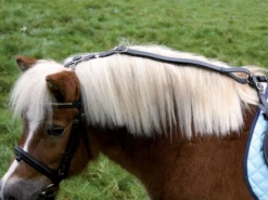 Waldhausen STAR Anti-Grazing Reins