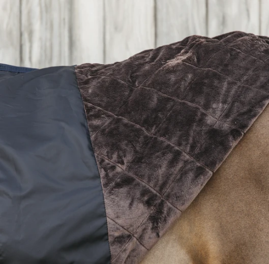 Kentucky All Weather Waterproof Pro Turnout Rug 0G 2 Kentucky All Weather Waterproof Pro Turnout Rug 0G - Image 2