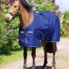 Horseware Ireland Amigo Hero 900 Pony Turnout (0g Lite)