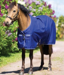 Horseware Ireland Amigo Hero 900 Pony Turnout (0g Lite)