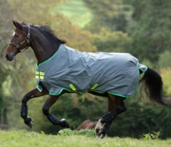 Horseware Ireland Amigo Hero 900 Turnout (200g Medium)