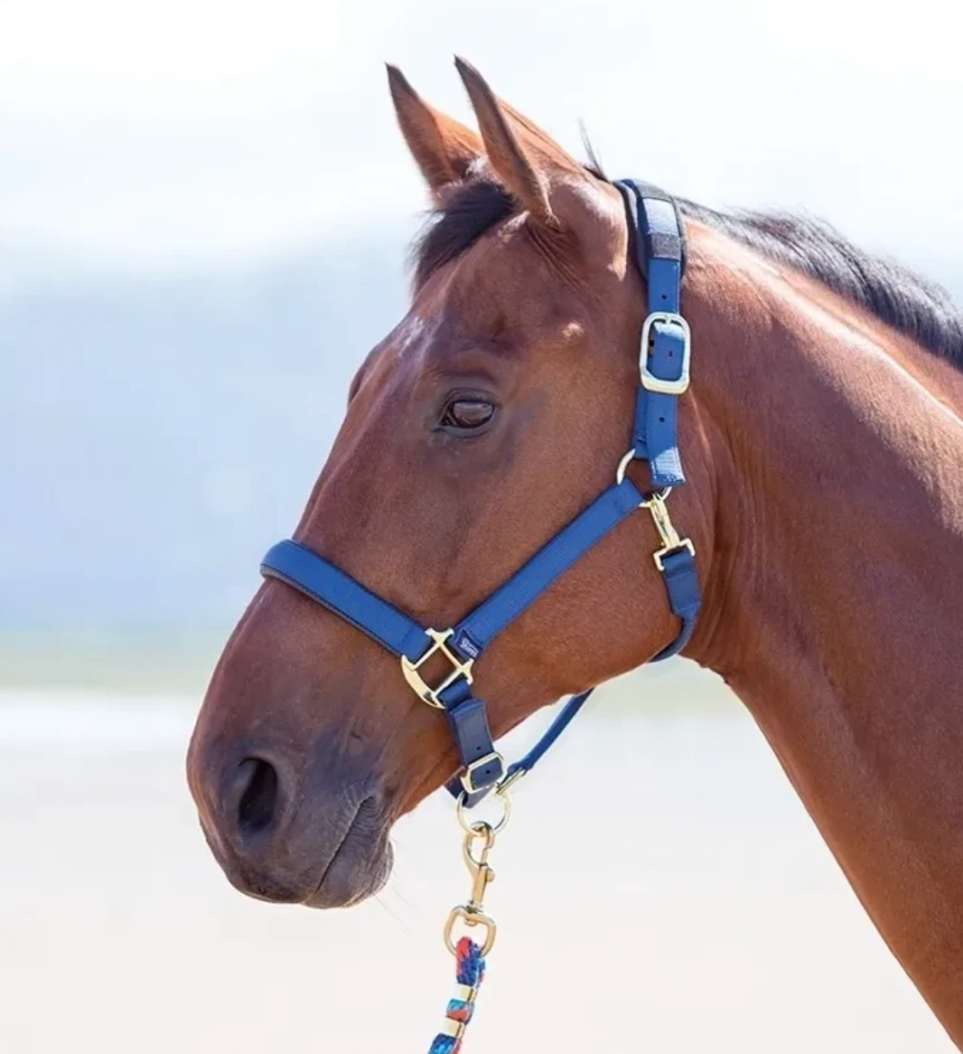 SHIRES - TOPAZ NYLON HALTER 1 SHIRES - TOPAZ NYLON HALTER