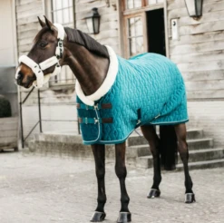 KENTUCKY HORSEWARE - SHOW RUG VELVET 160G -Sports - Equestrian Sports ScreenShot2022 02 17at3.00.43PM