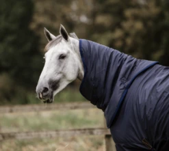 NECK ALL WEATHER HURRICANE 150G