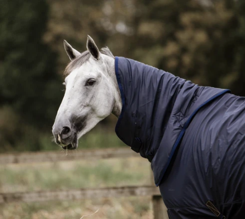 KENTUCKY HURRICANE ALL WEATHER NECK 0G