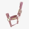 Kentucky VELVET HALTER
