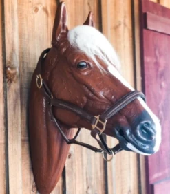 Draft Size Raised And Padded Halter