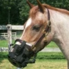 Best Friend - Clip-On Grazing Muzzle